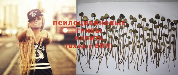 MESCALINE Медногорск