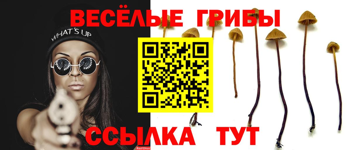 Янаул  Галлюциногенные грибы прущие грибы  Вход с VPN 
